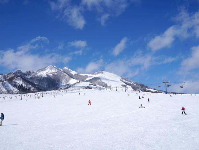 岩原滑雪場 | 雪場介紹 | 瘋雪中文滑雪學校